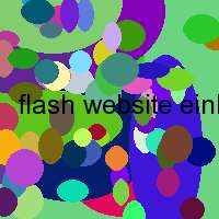 flash website einbinden